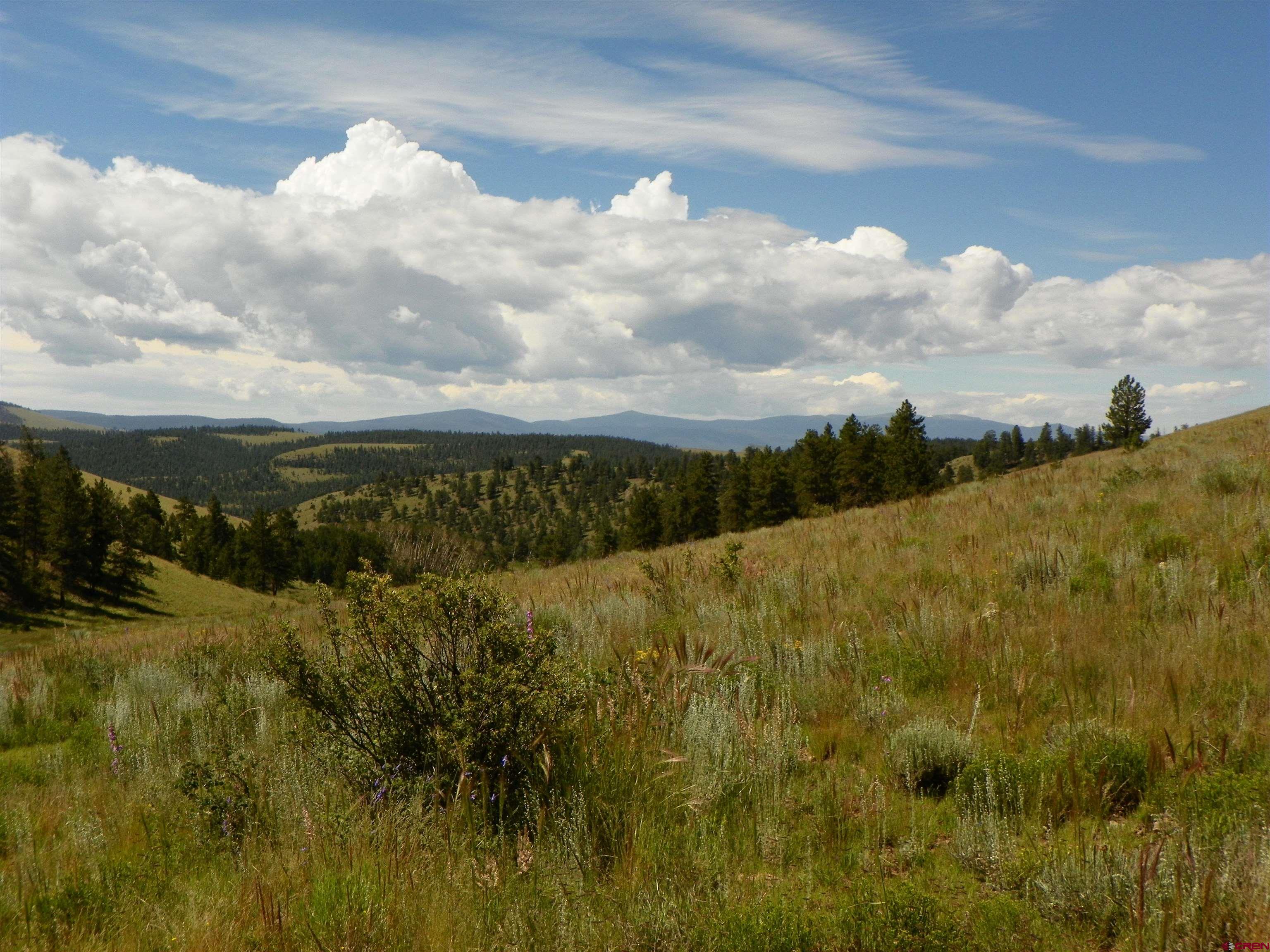 Tbd County Road South Saguache, CO 81149 - Photo 9 of 16 a view of outdoor space and yard