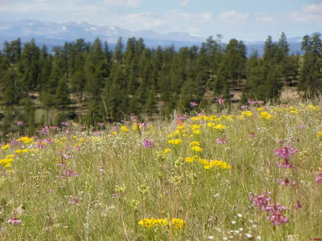 a view of lake view and mountain view