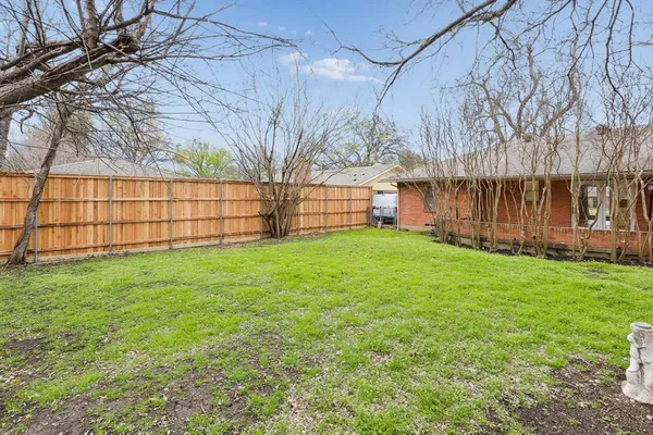 a view of a backyard with a large tree