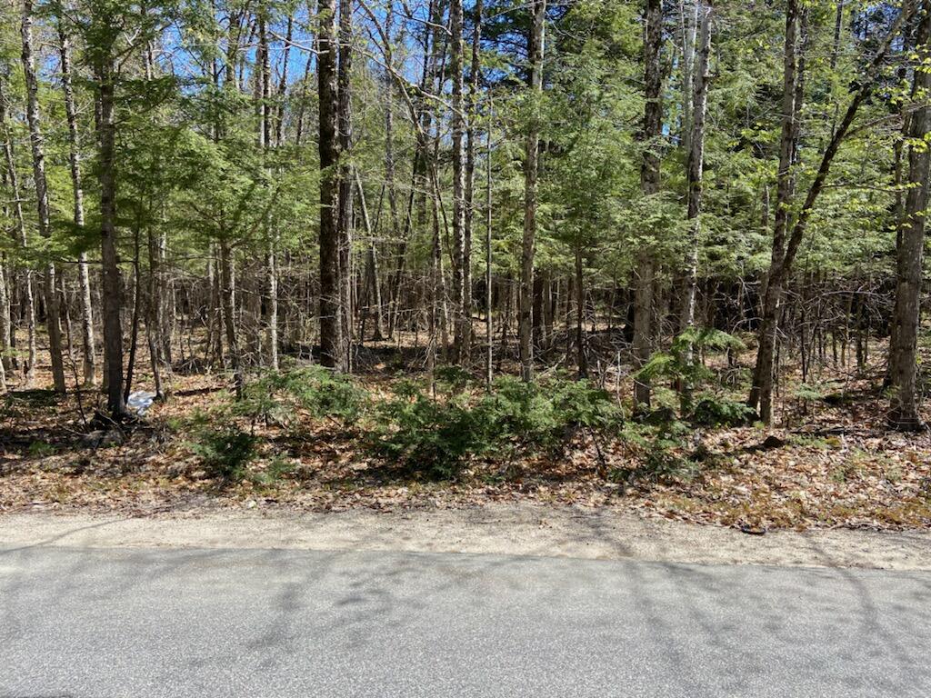 0 Highland Pines Road Bridgton, ME 04009 - Photo 2 of 10 IMG_4233