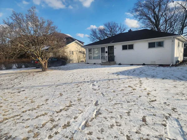 a view of a backyard with a large tree