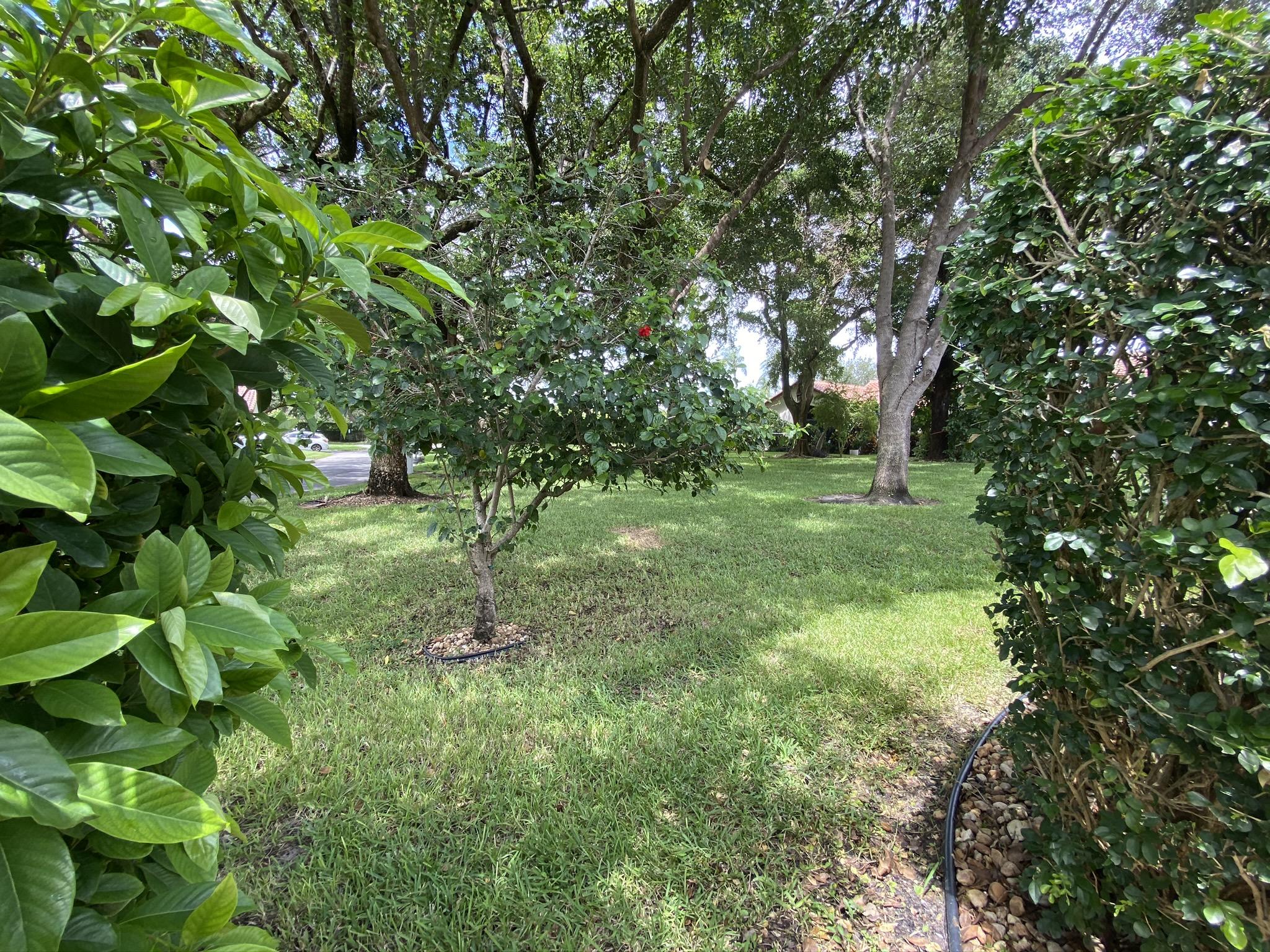 23489 Water Circle Boca Raton, FL 33486 - Photo 21 of 40 Grassy area behind