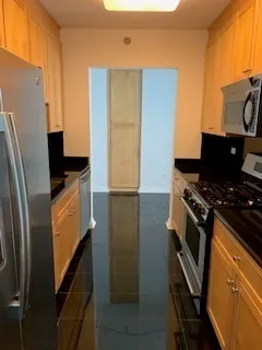 $3,600 | 33 West Ontario Street, Unit 20F, Chicago, IL 60654