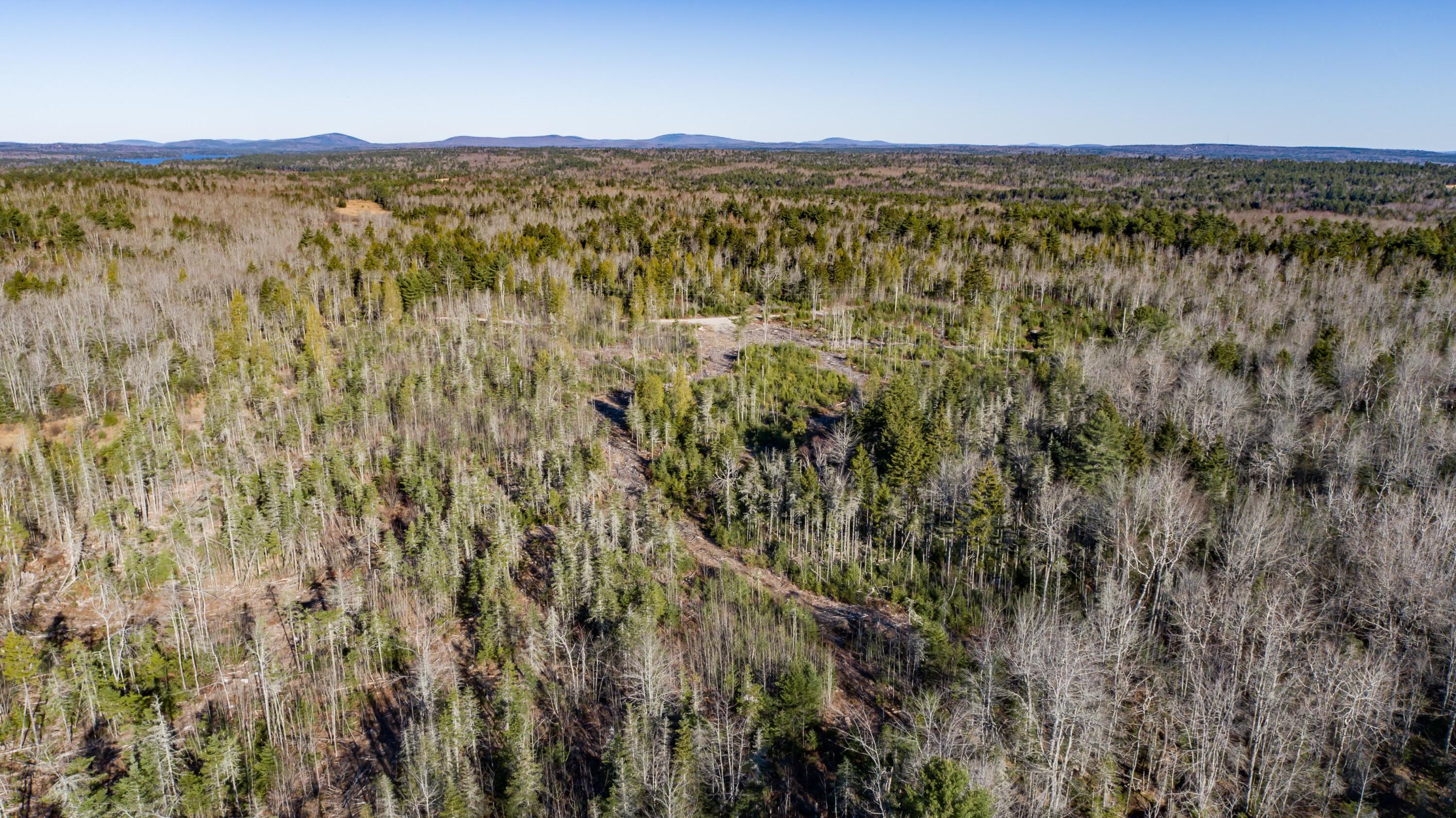 29-52a Ellsworth Road Blue Hill, ME 04614 - Photo 3 of 12 50 Acres