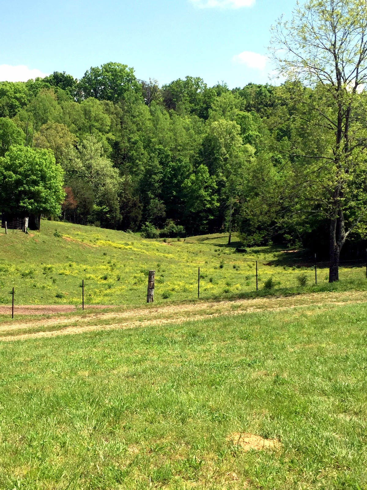 118 Stakely Road Madisonville, TN 37354 - Photo 24 of 29 Gallery Image 24