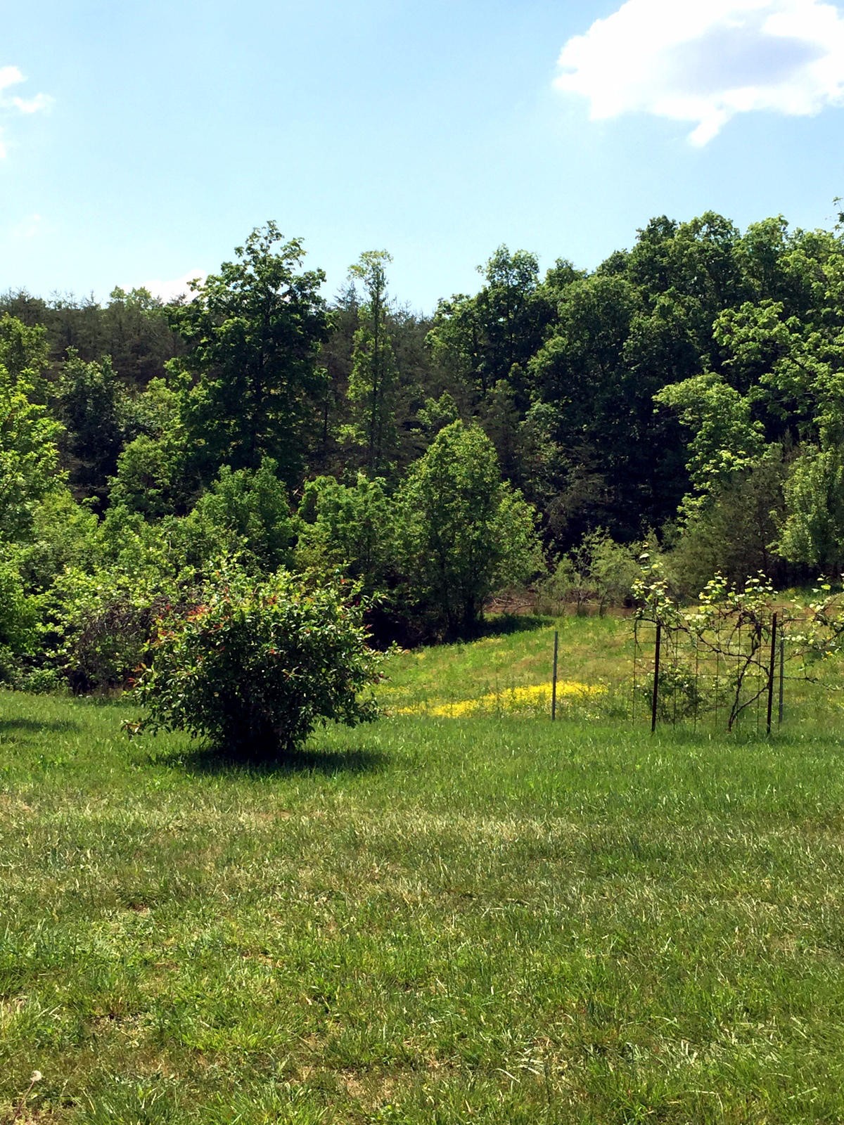 118 Stakely Road Madisonville, TN 37354 - Photo 25 of 29 Gallery Image 25