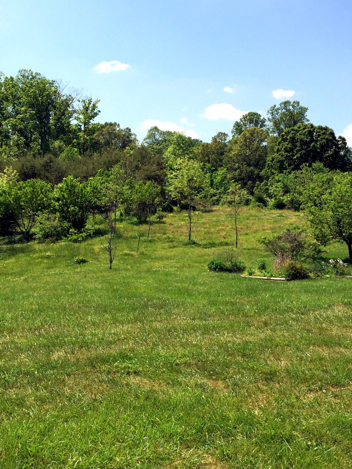 118 Stakely Road Madisonville, TN 37354 - Photo 26 of 29 Gallery Image 26