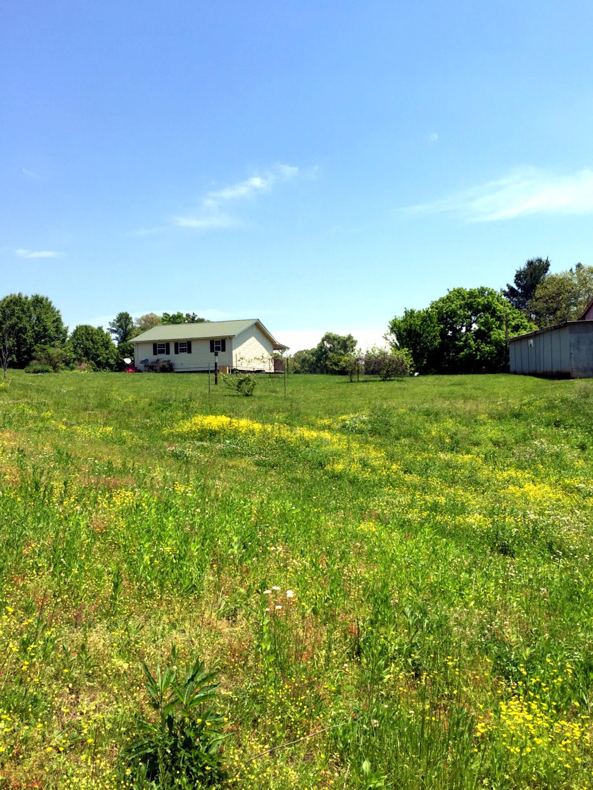 118 Stakely Road Madisonville, TN 37354 - Photo 29 of 29 Gallery Image 29