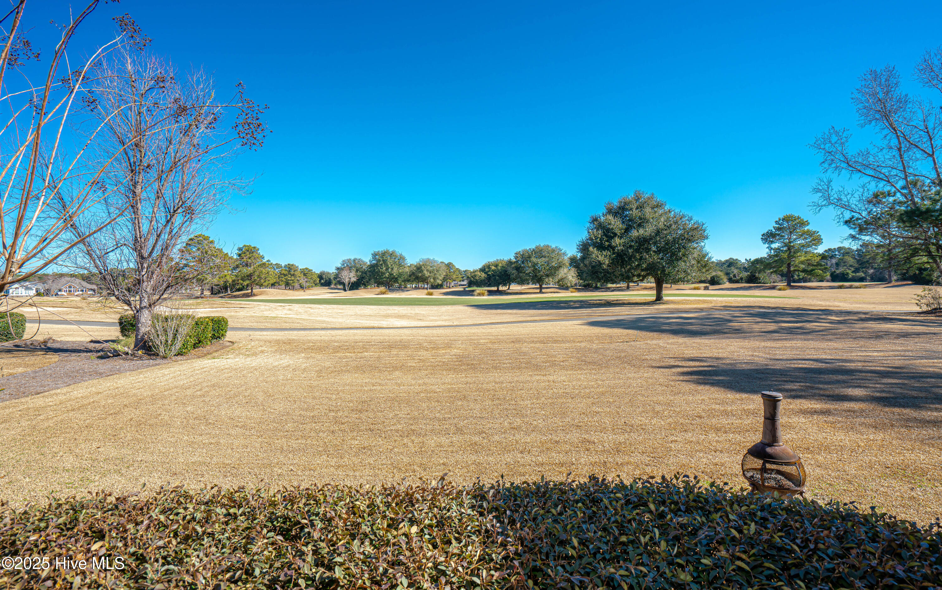 9258 Checkerberry Square Calabash, NC 28467 - Photo 55 of 63 DSC01439