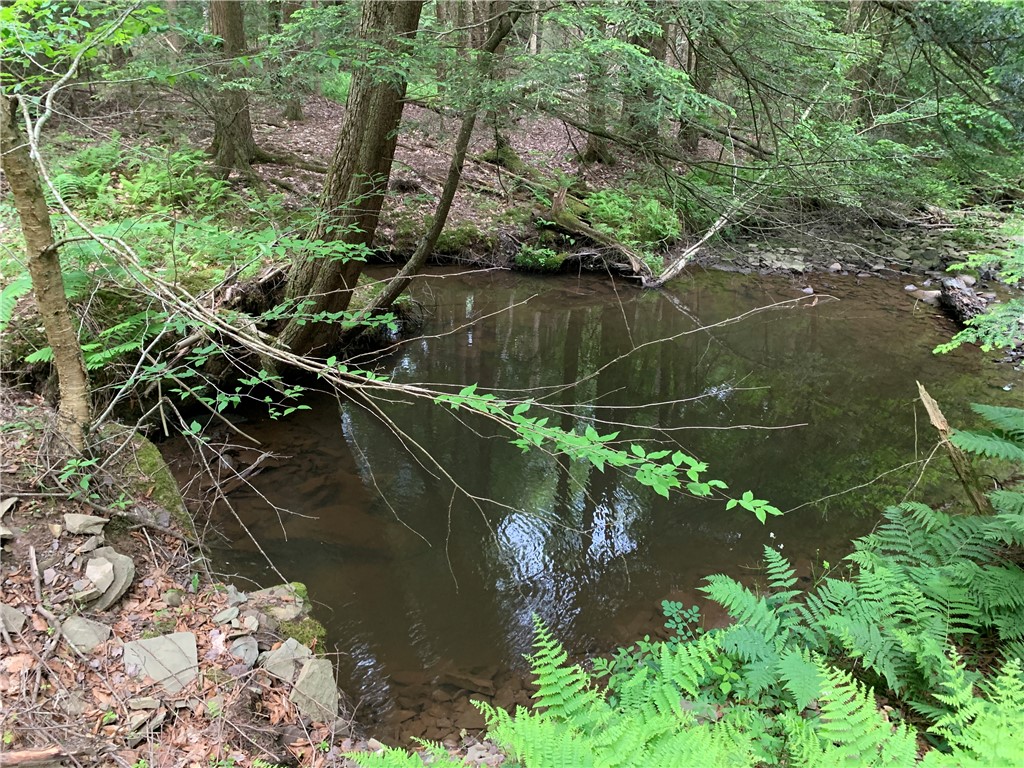 0 Windfall Road Ulysses, PA 16948 - Photo 1 of 8