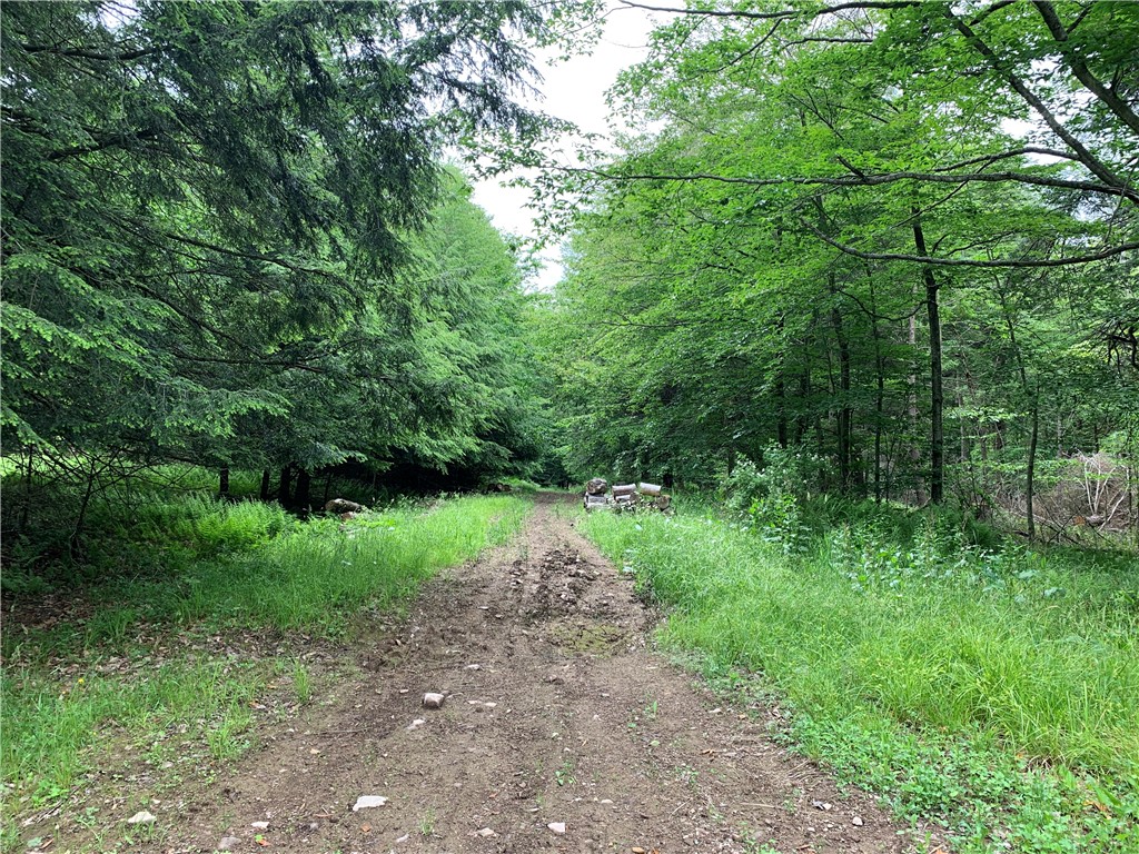 0 Windfall Road Ulysses, PA 16948 - Photo 2 of 8