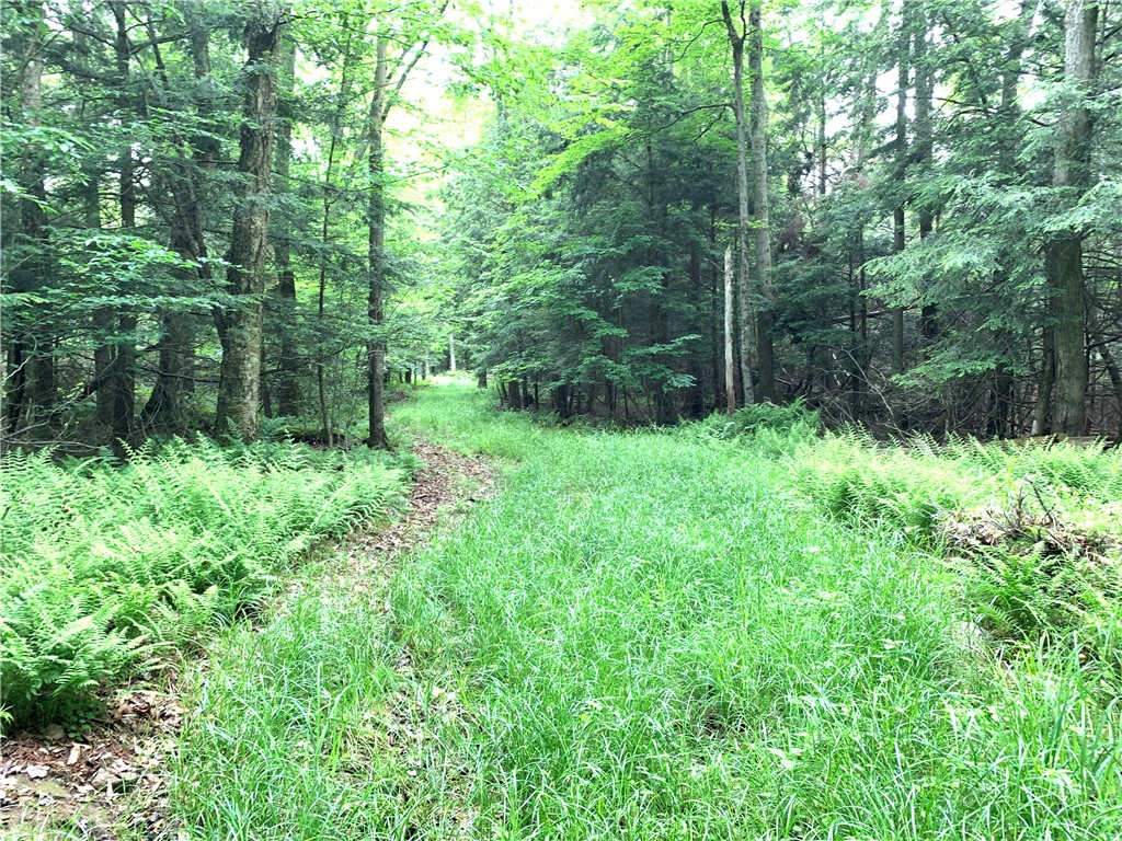 0 Windfall Road Ulysses, PA 16948 - Photo 3 of 8