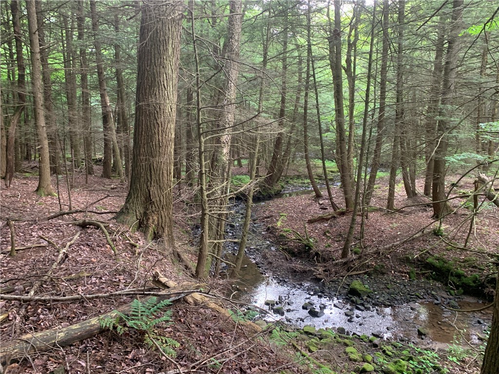 0 Windfall Road Ulysses, PA 16948 - Photo 6 of 8