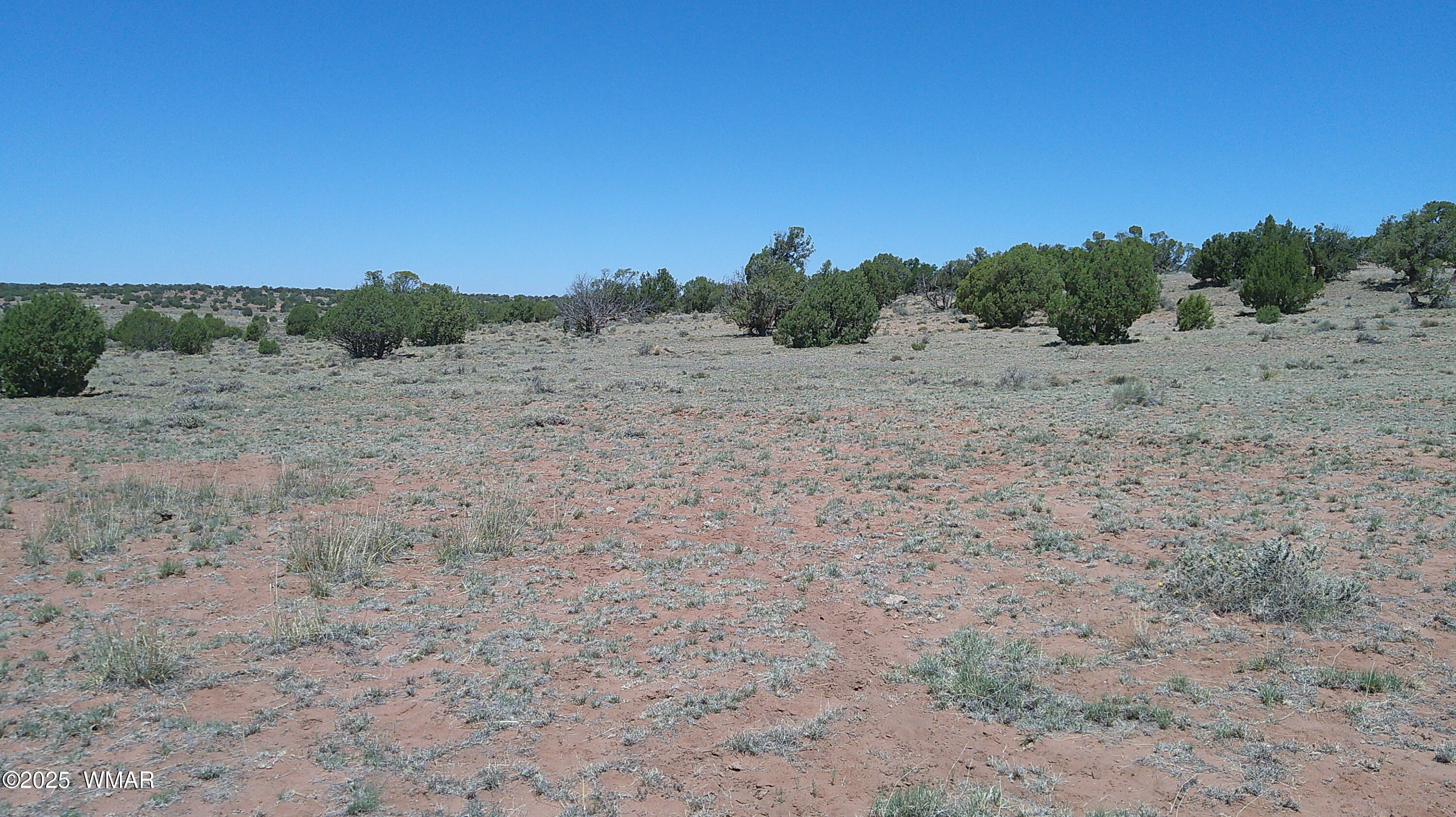 Tbd Tbd Rio Ranch Concho, AZ 85924 - Photo 14 of 44 DSCF0030