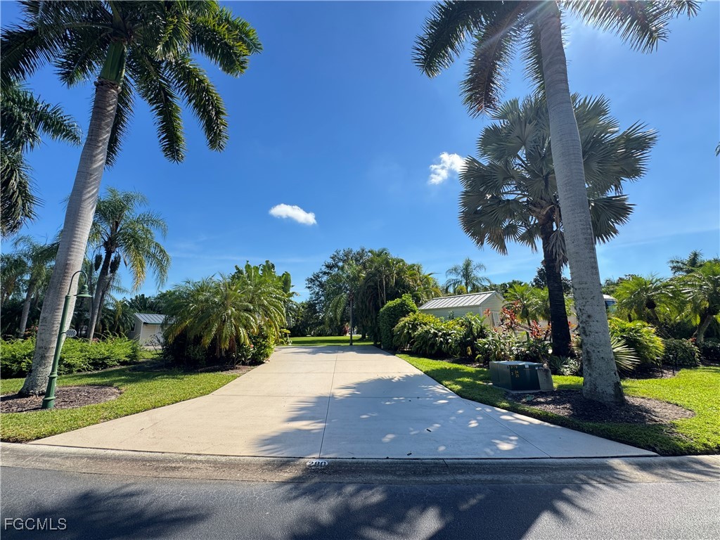 a view of a backyard
