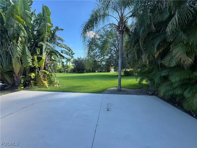 a view of a park with palm trees
