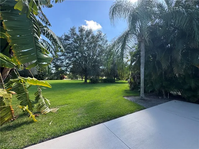 a view of a garden with a tree