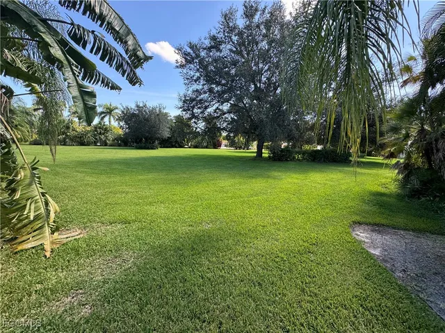 a view of a trees in a yard with a house