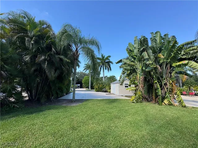 a view of a yard with a tree