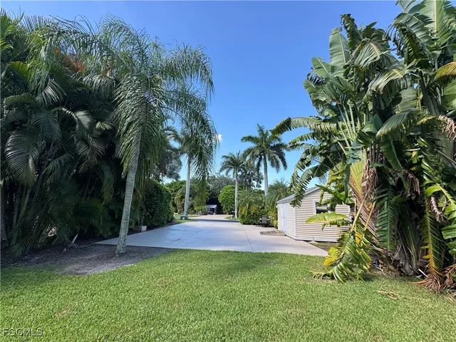 a view of a yard with a tree