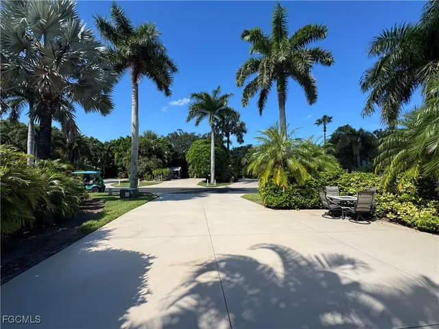 a view of backyard of a house and palm tree