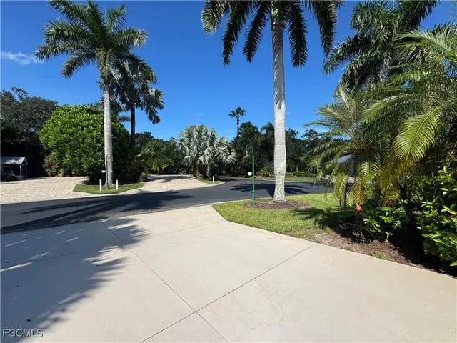 a view of a park with palm trees