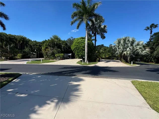 a view of a street with palm trees