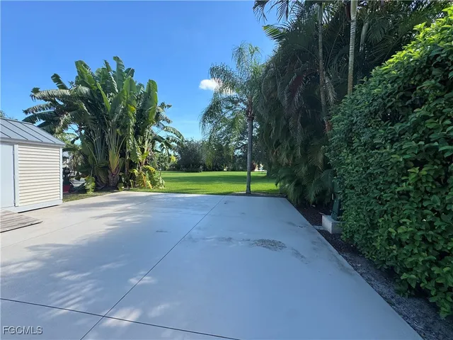 a view of a yard with plants and trees