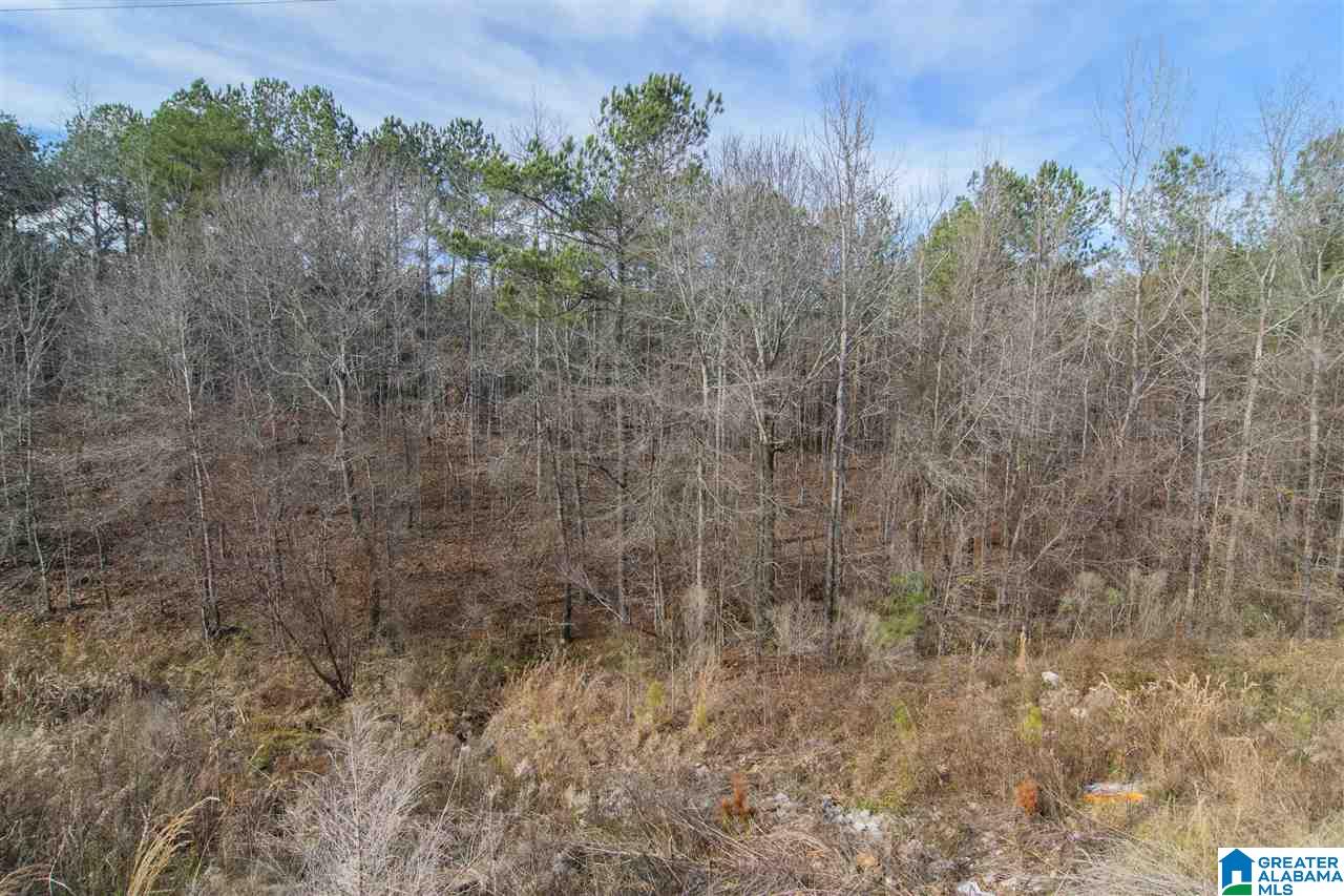 197 Appleford Road Helena, AL 35080 - Photo 43 of 49