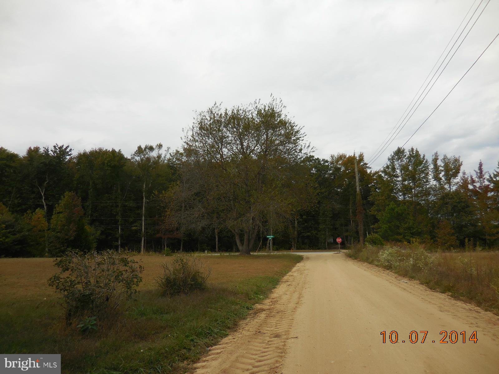 17380 Gooden Road Marydel, MD 21649 - Photo 11 of 14 View