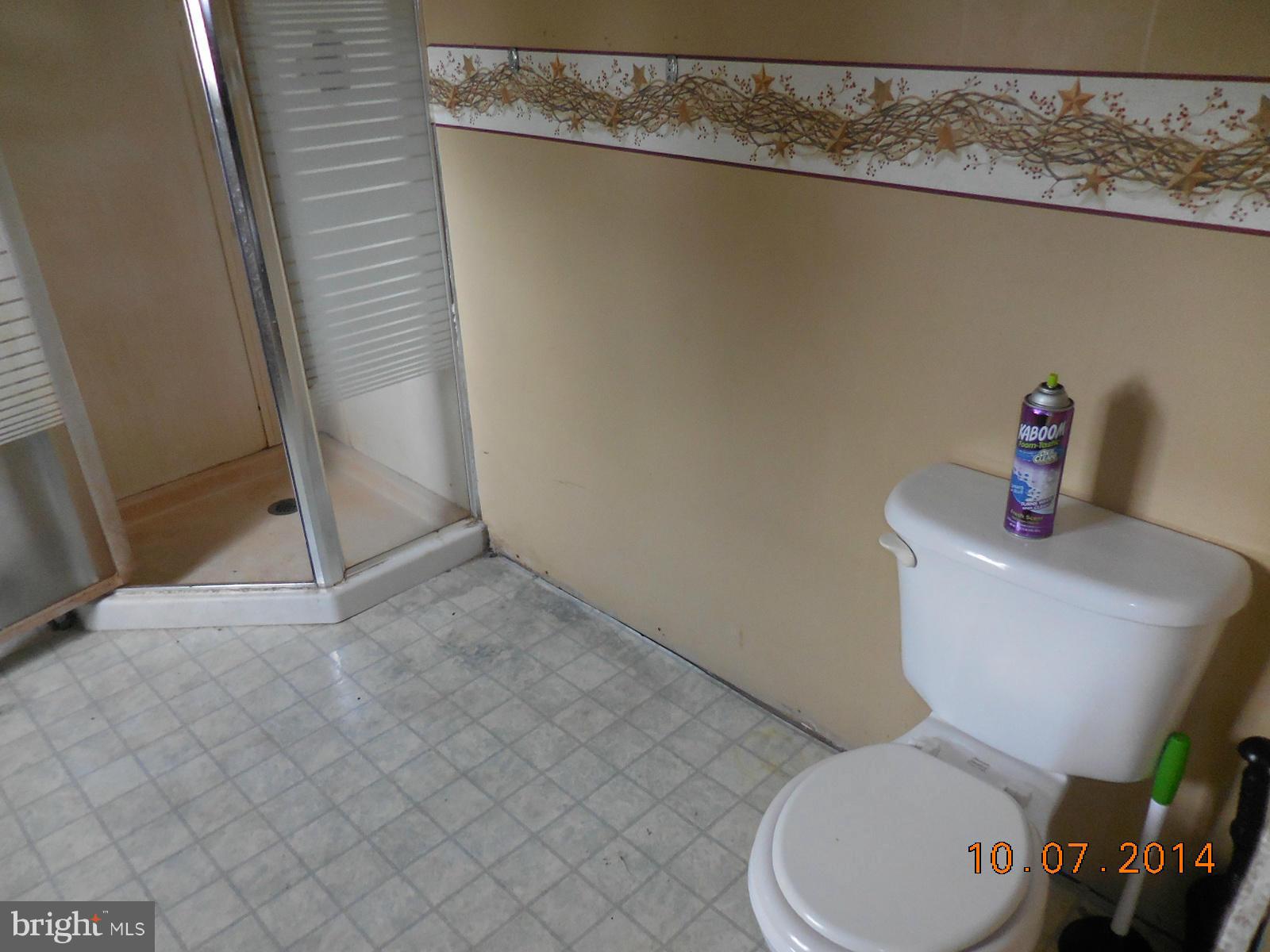 17380 Gooden Road Marydel, MD 21649 - Photo 12 of 14 Bath