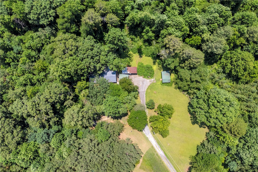 162 Newberry Road Walhalla, SC 29691 - Photo 41 of 50 Discover a tranquil woodland retreat, offering privacy and natural surroundings.