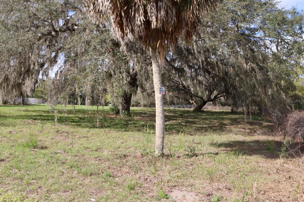 11234 Southeast 121st Lane Road Belleview, FL 34420 - Photo 3 of 23