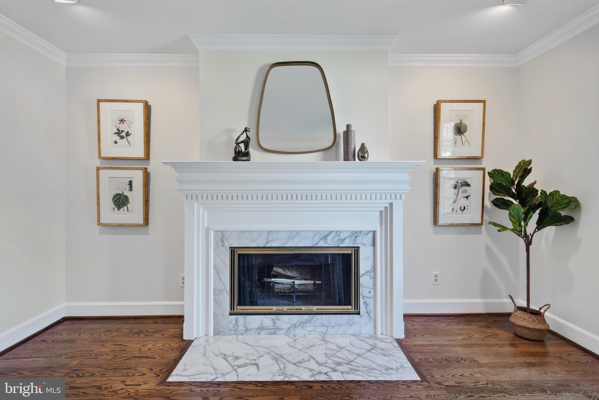 4524 25th Road North Arlington, VA 22207 - Photo 13 of 66 Living Room Wood Fireplace