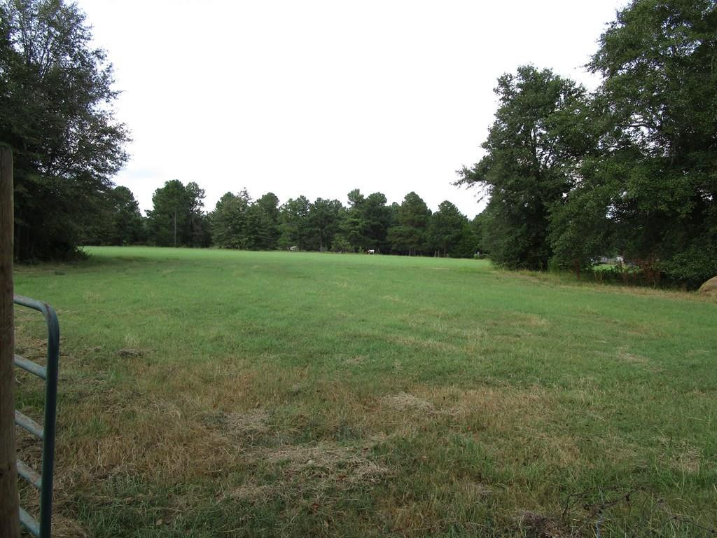 3480 Camp Rawls Road Wagener, SC 29164 - Photo 5 of 40
