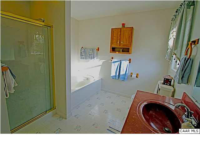 4578 Blue Run Road Somerset, VA 22972 - Photo 12 of 24 The master bathroom has a huge soaking tub, separate shower and dual vanities.