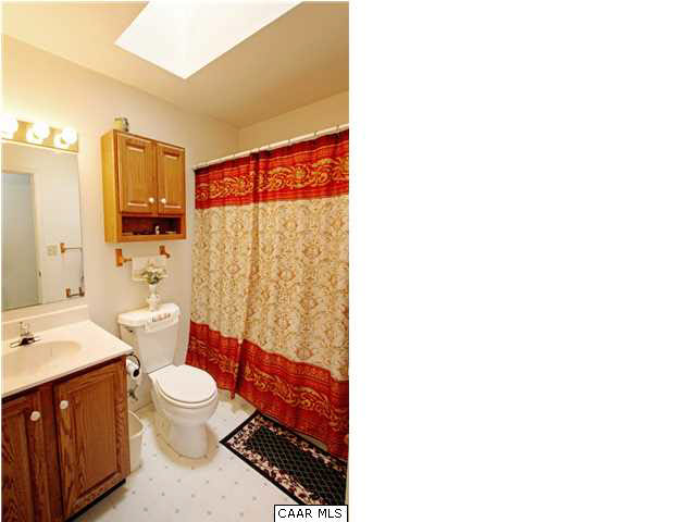 4578 Blue Run Road Somerset, VA 22972 - Photo 16 of 24 Hall bath with skylight.