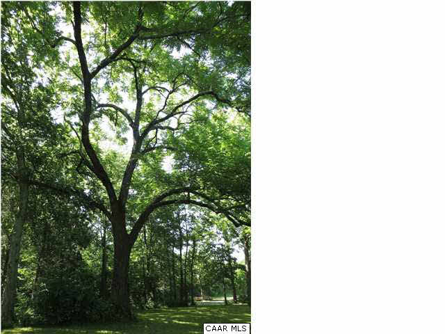 4578 Blue Run Road Somerset, VA 22972 - Photo 24 of 24 One of several towering walnut trees.