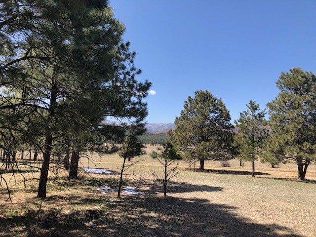 Lot 65 Patron Road Rociada, NM 87742 - Photo 12 of 14