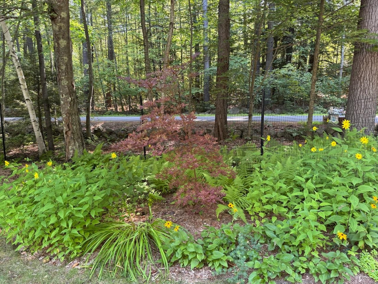 834 Borough Road Pembroke, NH 03275 - Photo 38 of 47