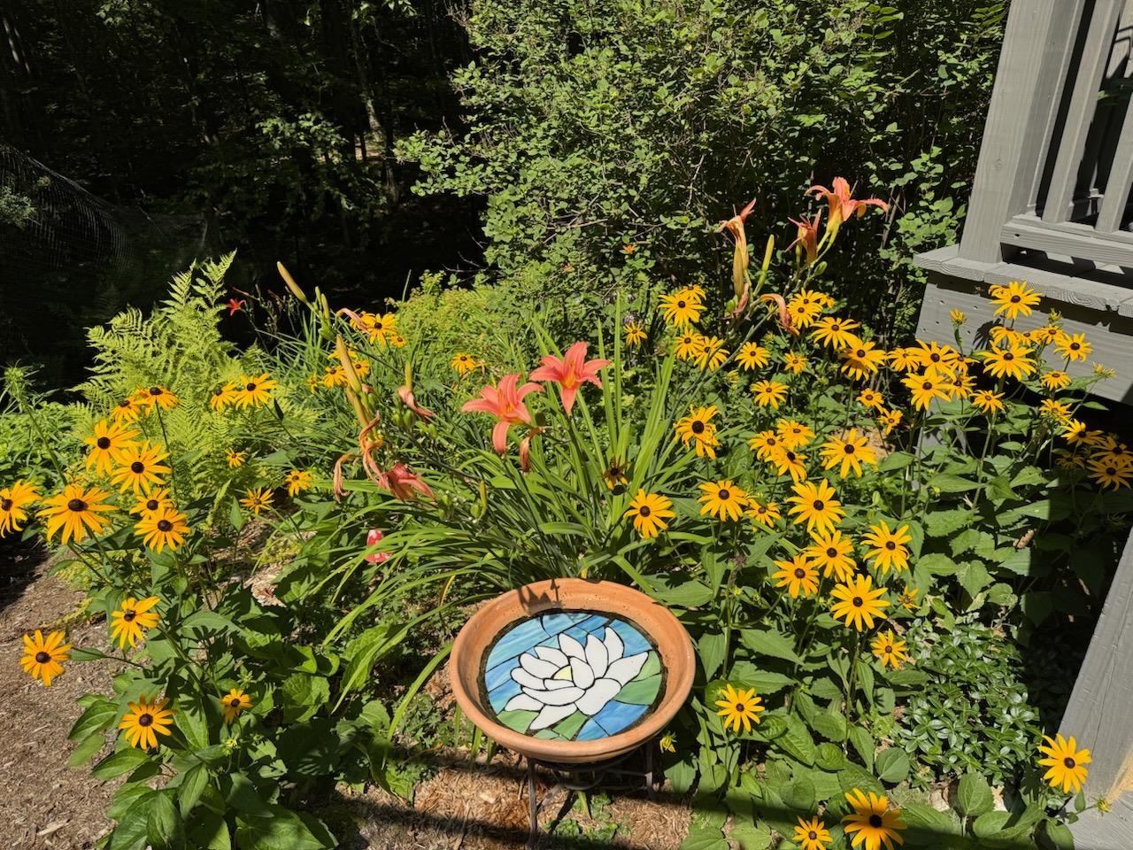 834 Borough Road Pembroke, NH 03275 - Photo 39 of 47