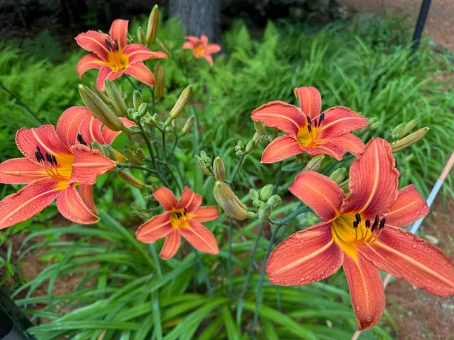 $524,900 | 834 Borough Road, Pembroke, NH 03275