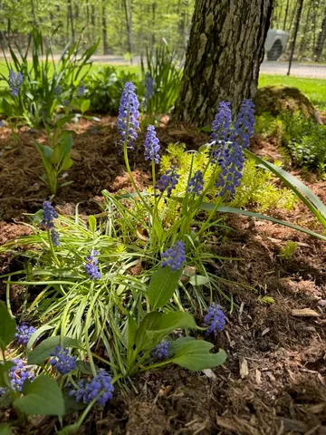 $524,900 | 834 Borough Road, Pembroke, NH 03275