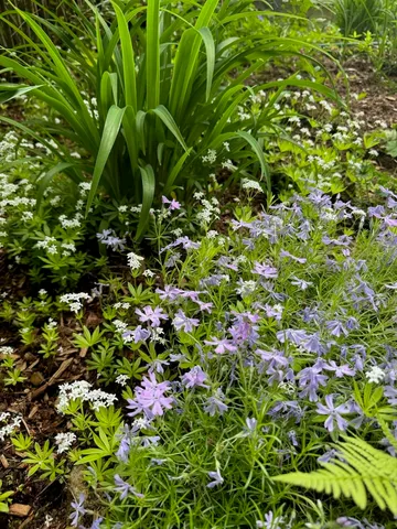 $524,900 | 834 Borough Road, Pembroke, NH 03275