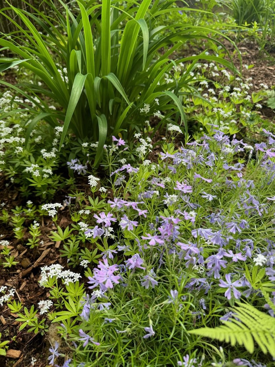 834 Borough Road Pembroke, NH 03275 - Photo 47 of 47