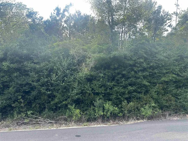 $89,000 | Tbd Hauser Road, Deridder, LA 70634