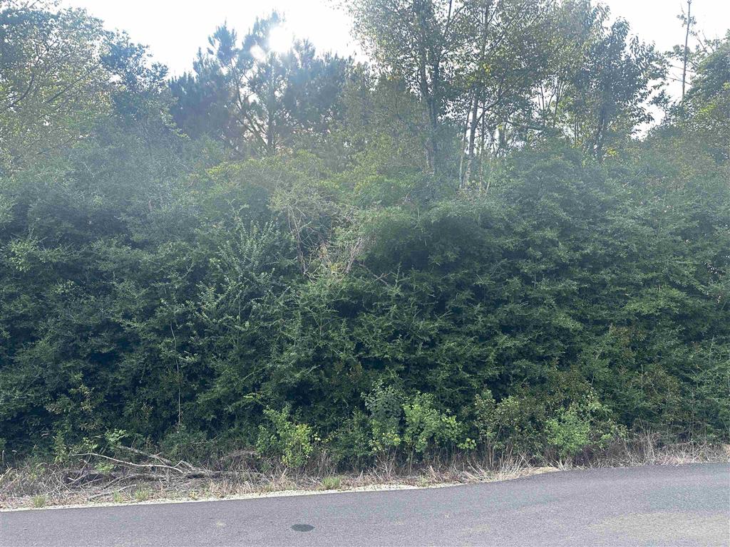 Tbd Hauser Road Deridder, LA 70634 - Photo 2 of 3