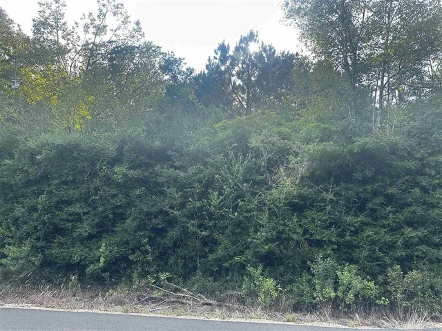 $89,000 | Tbd Hauser Road, Deridder, LA 70634