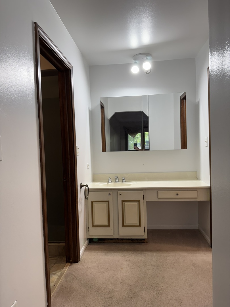9244 Gross Point Road, Unit 103 Skokie, IL 60077 - Photo 17 of 28 a bathroom with a sink and a mirror