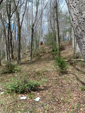 $229,900 | 146 Ringwood Drive, Mount Airy, NC 27030